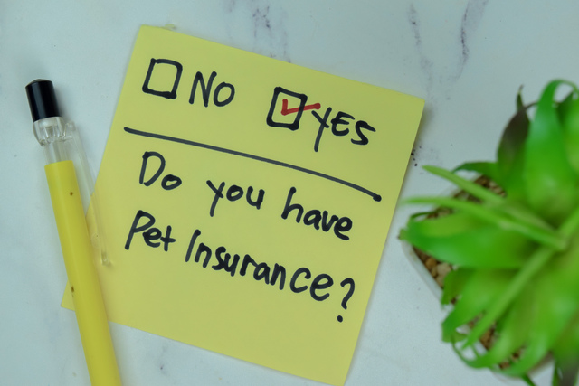 Understanding Pet Insurance: Navigating Coverage in Times of Loss