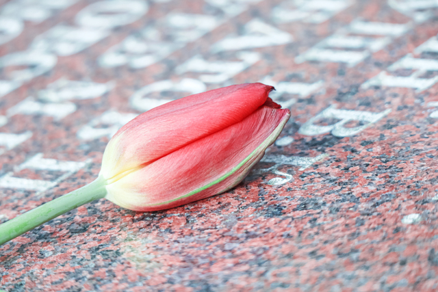 Online Memorialization Trends: How to Keep Your Loved One’s Memory Alive in the Digital Age