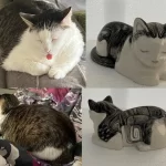 Image of a custom cat cremation urn using photos also known as a cat photo urn.