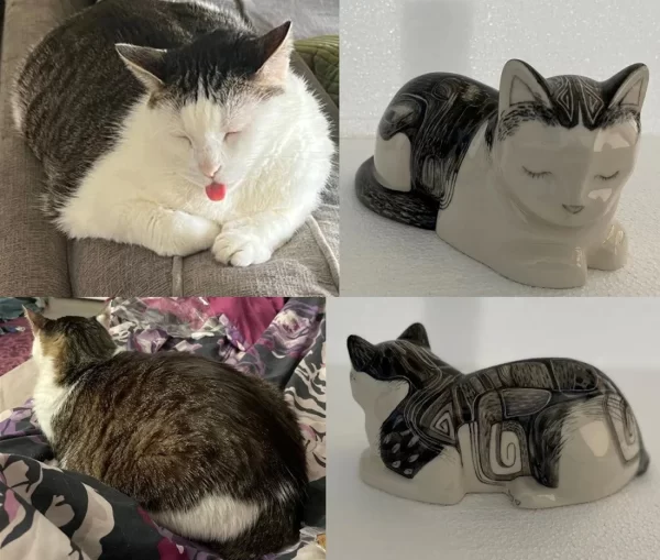 Image of a custom cat cremation urn using photos also known as a cat photo urn.