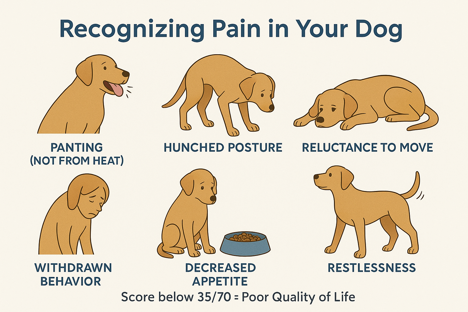 Visual guide showing signs of pain and suffering in dogs including panting, hunched posture, withdrawal to help assess quality of life
