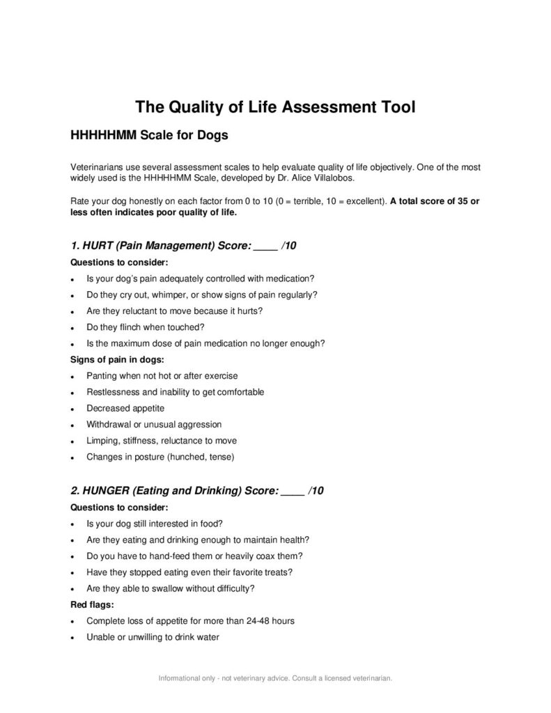 First page preview of the Quality of Life Assessment Tool for Dogs from Memorial Merits helping pet owners evaluate their dog's wellbeing when facing end-of-life decisions